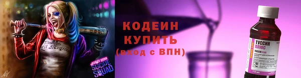 хмурый Кукмор
