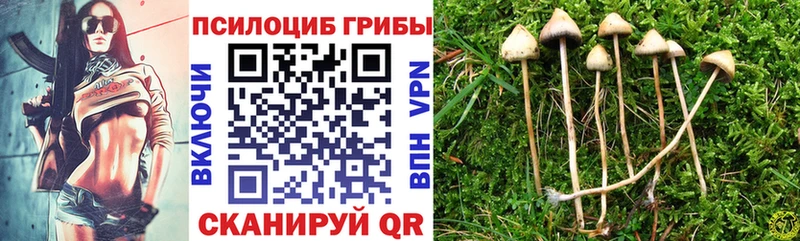 Псилоцибиновые грибы ЛСД  Ленинск-Кузнецкий 