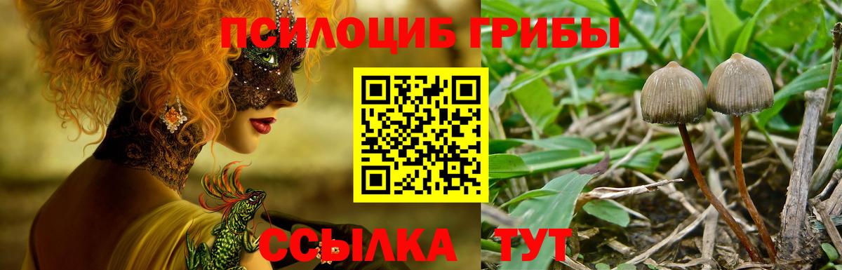Псилоцибиновые грибы Magic Shrooms  Галлюциногенные грибы MAGIC MUSHROOMS  Ленинск-Кузнецкий  Вход с VPN 