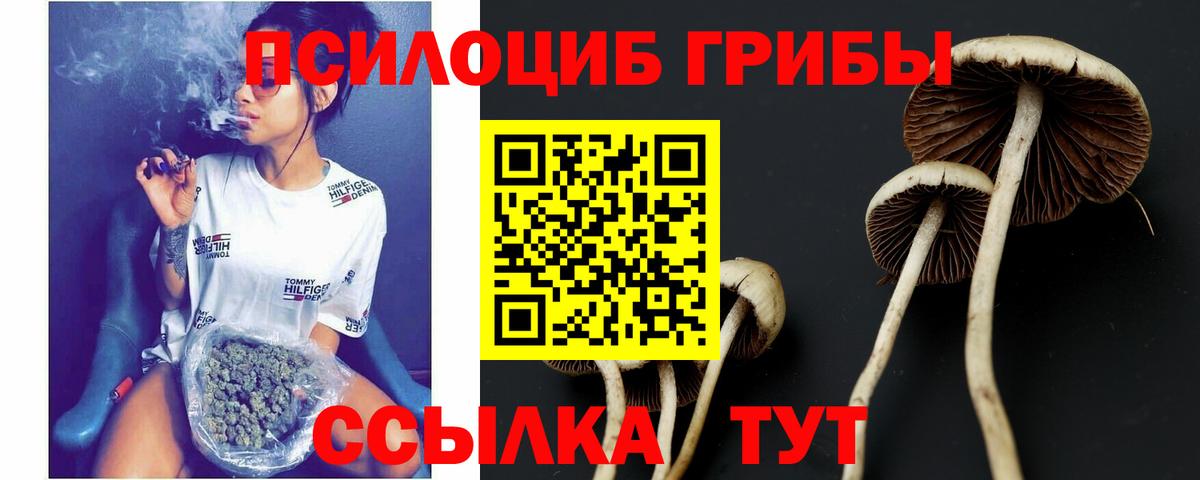 Псилоцибиновые грибы ЛСД Ленинск-Кузнецкий