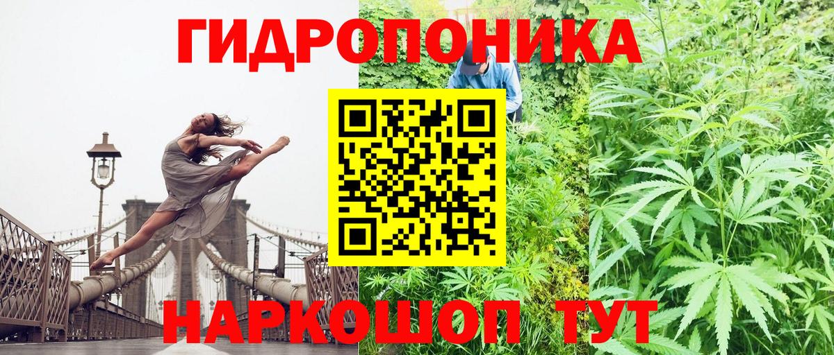 Марихуана планчик  Бошки марихуана SATIVA & INDICA  Марихуана AK-47  Ленинск-Кузнецкий 